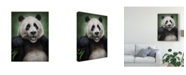 Trademark Global Patrick Lamontagne Panda Totem Canvas Art - 20" x 25"